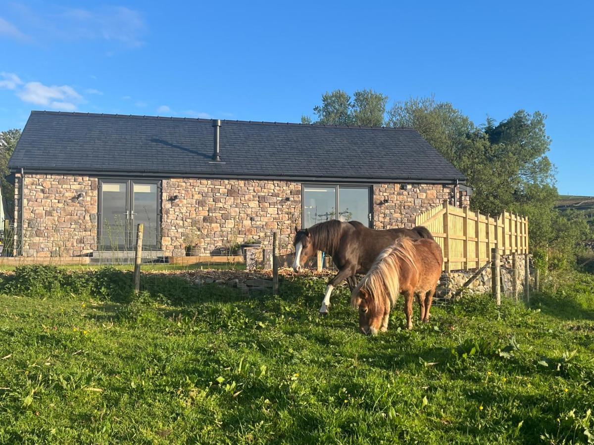 Villa Hedd Wen Llanllyfni Exterior foto